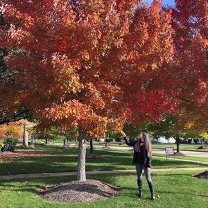 Meet your Posher, Jannis